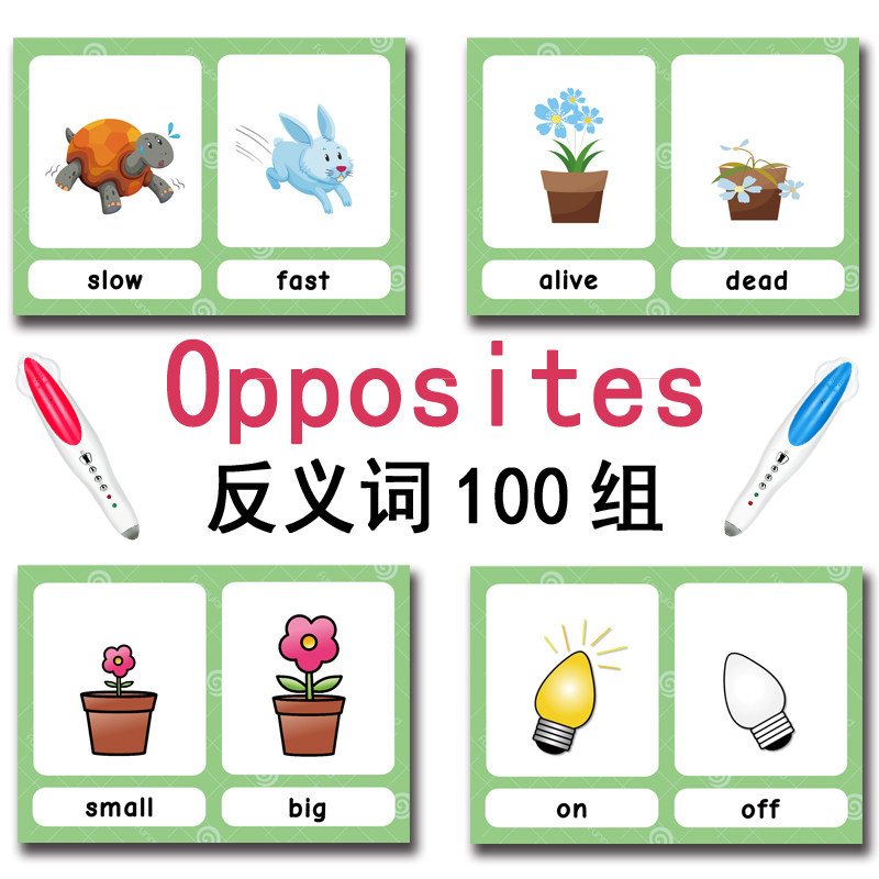 100 Kartu Flashcard Kata Bahas - Kids Education Card ulasan dan harga
