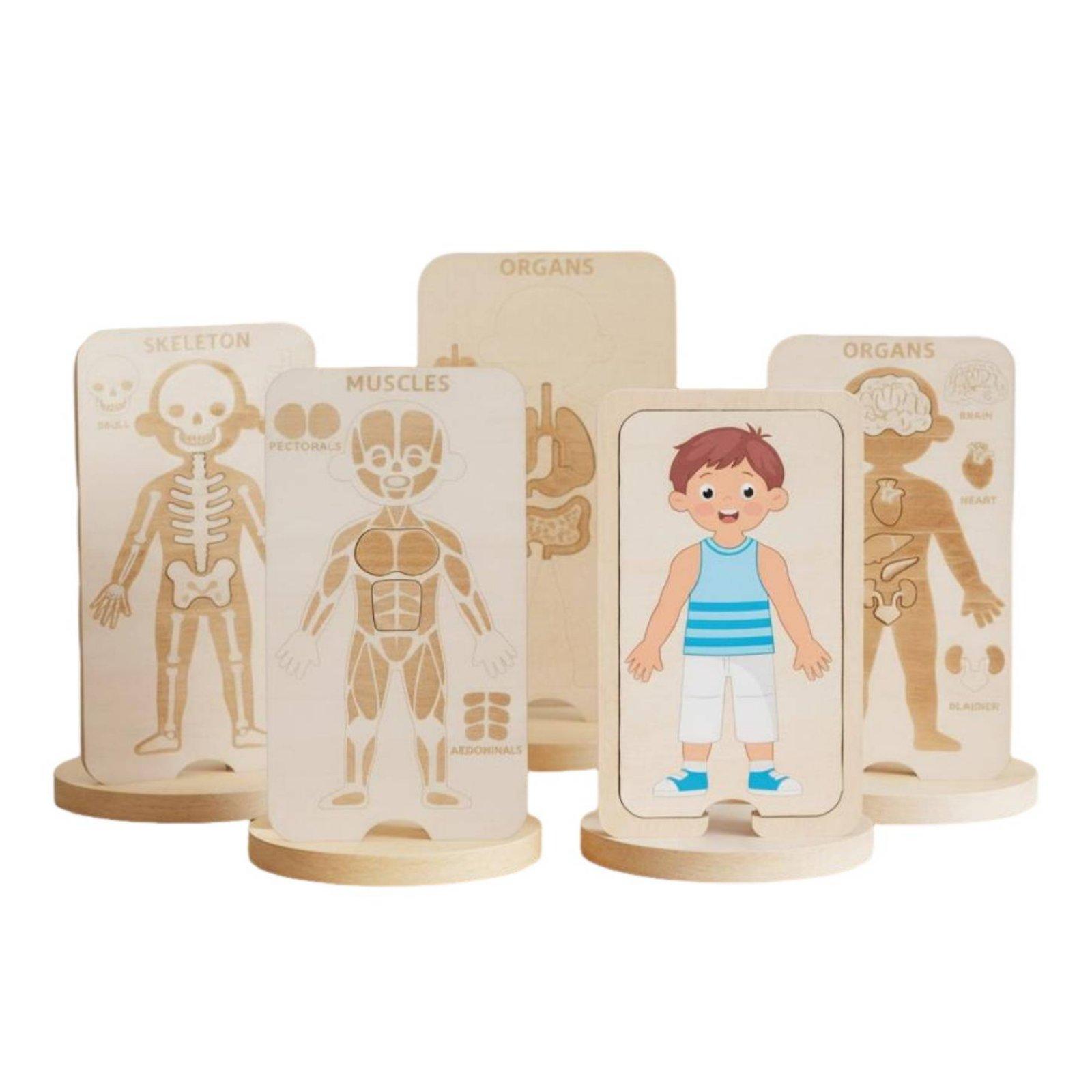 Mainan Puzzle Kayu Edukatif un - Human Body Puzzle ulasan dan harga