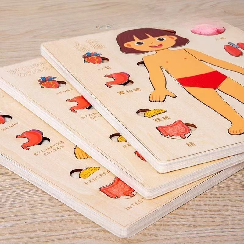 Puzzle Montessori Papan Aktivi - Human Body Puzzle ulasan dan harga