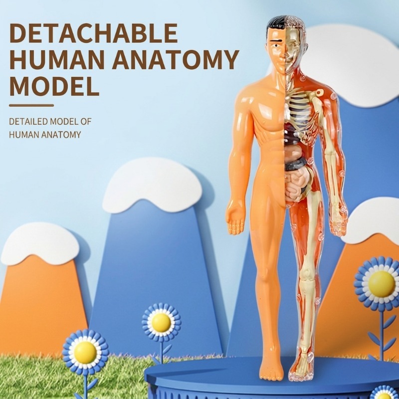 Set Percobaan Sains Model Tubu - Human Body Puzzle ulasan dan harga
