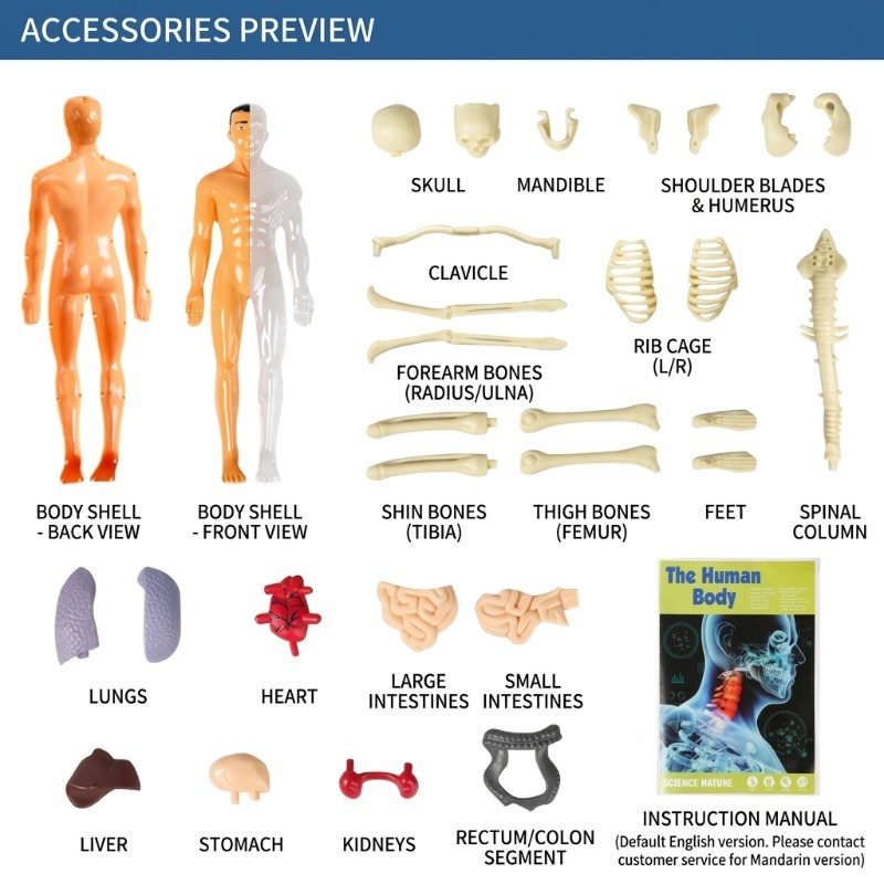 Set Percobaan Sains Model Tubu - Human Body Puzzle ulasan dan harga