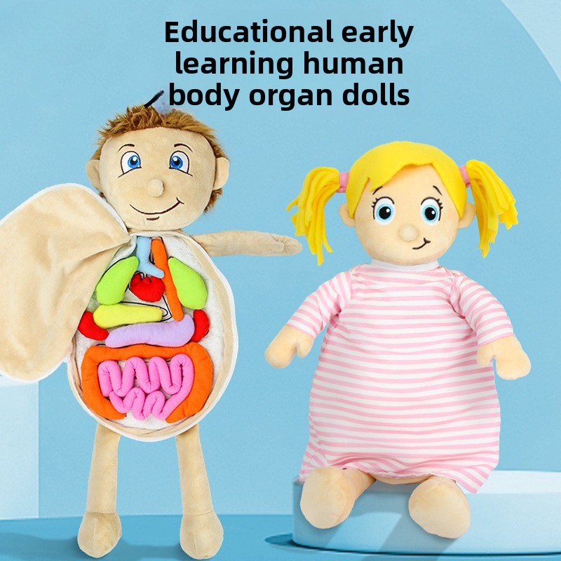 1 Buah Puzzle Kognisi Organ Ma - Human Body Puzzle ulasan dan harga