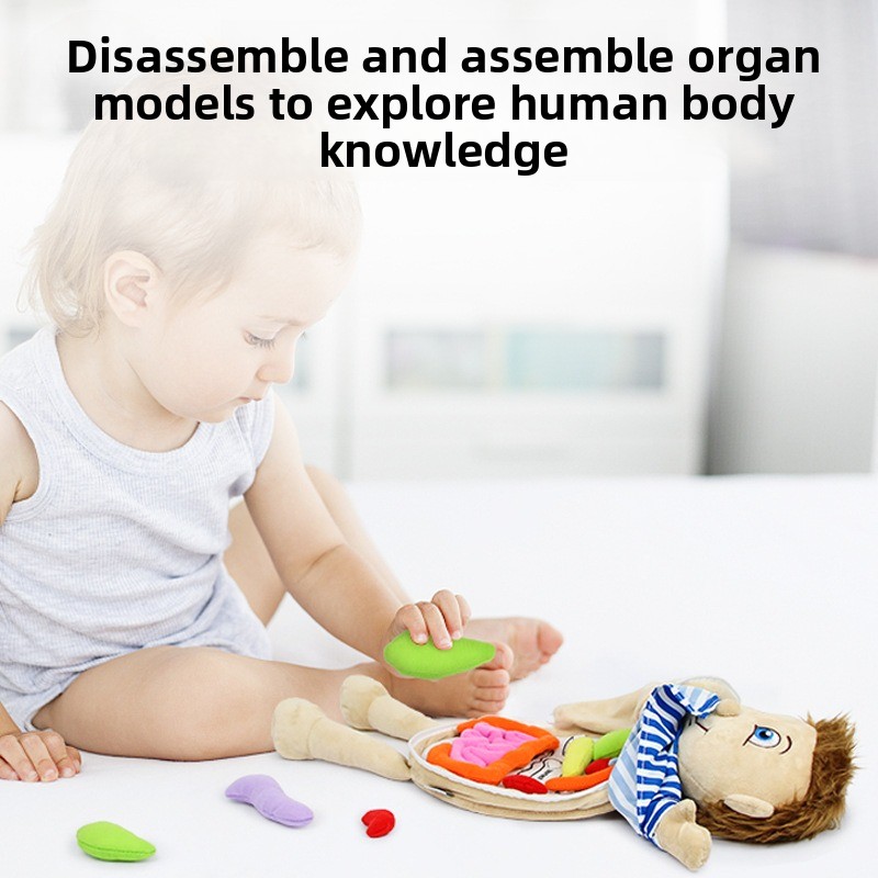 1 Buah Puzzle Kognisi Organ Ma - Human Body Puzzle ulasan dan harga