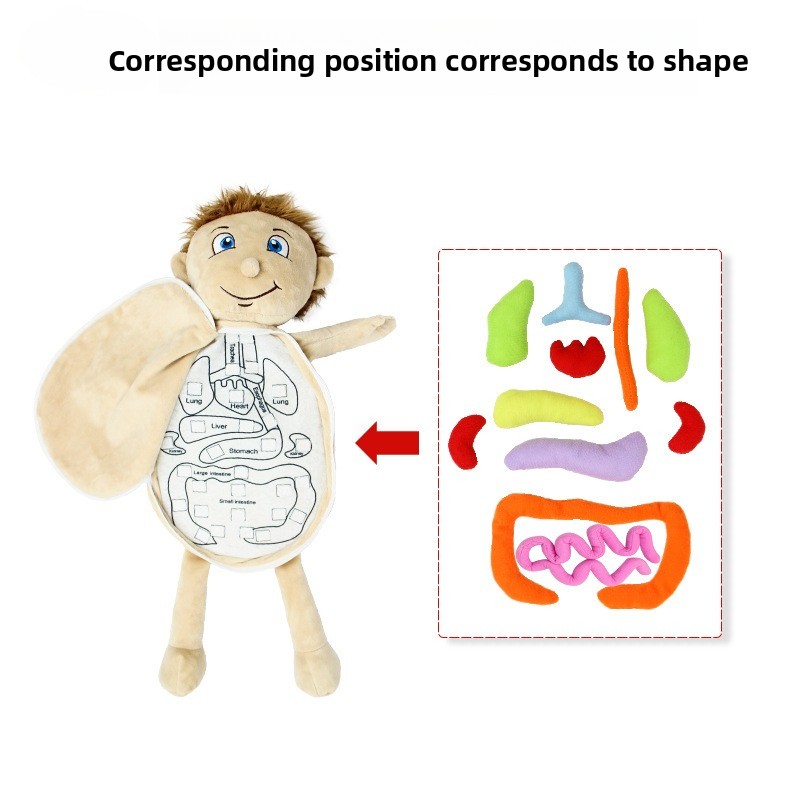 1 Buah Puzzle Kognisi Organ Ma - Human Body Puzzle ulasan dan harga