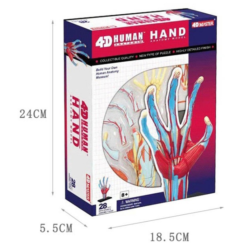 4d Master Tangan Manusia Tulan - Human Body Puzzle ulasan dan harga