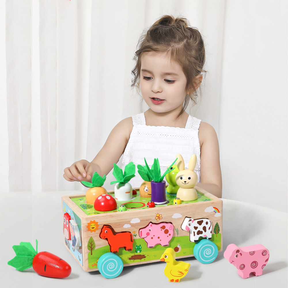 Berbagai bentuk kayu cocok unt - Kids Education Number ulasan dan harga