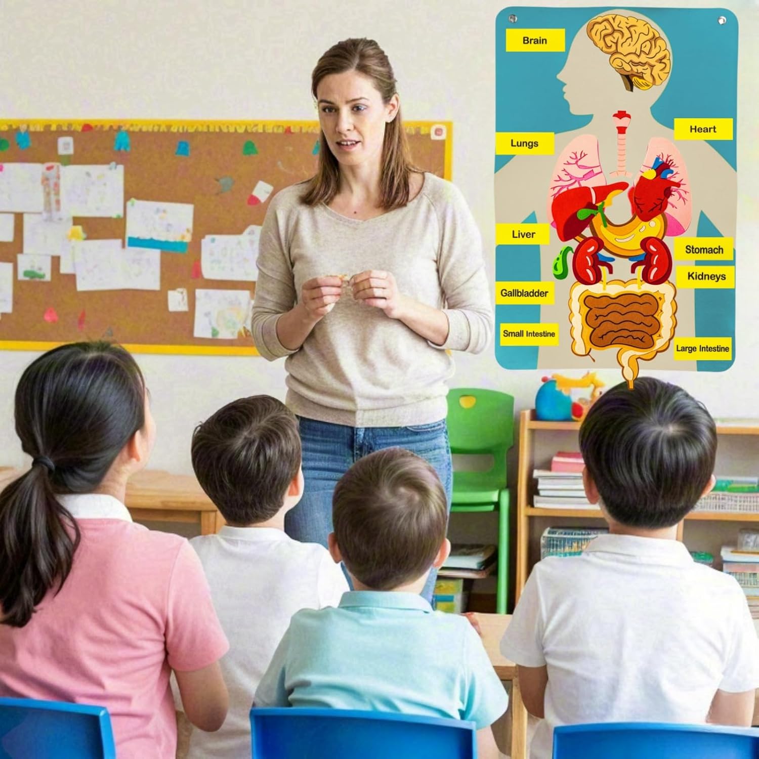 Papan Gambar Bagian Tubuh Manu - Human Body Puzzle ulasan dan harga