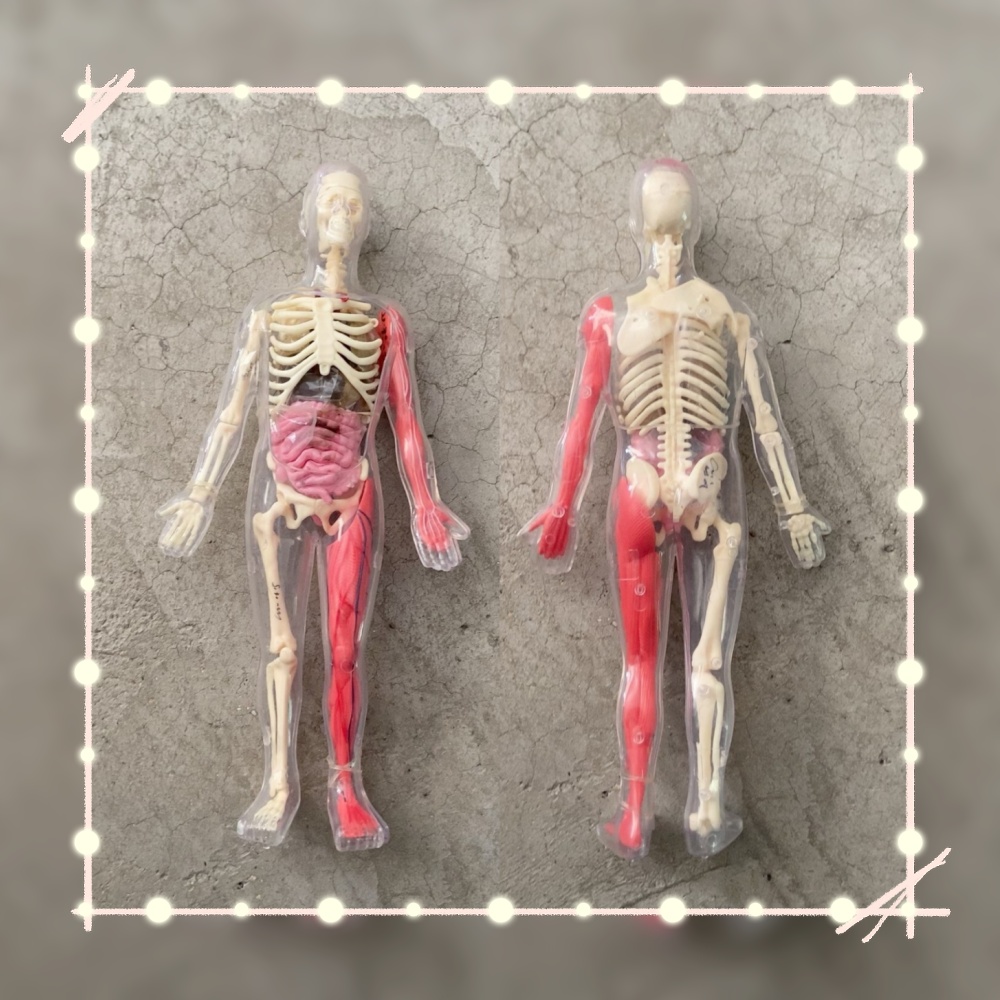 Tersedia Stok Default Defect O - Human Body Puzzle ulasan dan harga