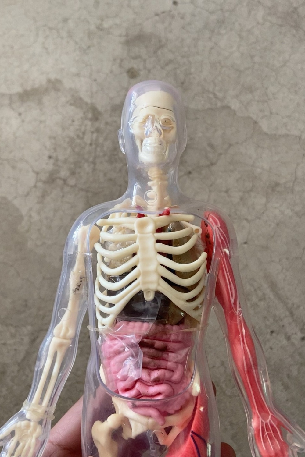 Tersedia Stok Default Defect O - Human Body Puzzle ulasan dan harga